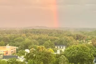 250 Hammond Pond Pkwy, Newton, MA 02467 - Photo 9