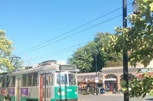 44 Orkney Rd, Boston, MA 02135 - Photo 19