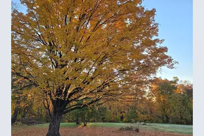 362 Kennedy Road, Northampton, MA 01053 - Photo 37