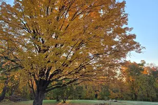 362 Kennedy Rd, Northampton, MA 01053 - Photo 37