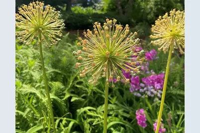 16 Burnham Road, Wenham, MA 01984 - Photo 39