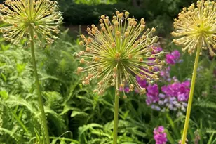 16 Burnham Rd, Wenham, MA 01984 - Photo 39