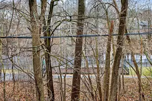 54 River St, Boston, MA 02126 - Photo 13