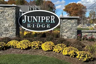 16 Elise Ave, Londonderry, NH 03053 - Photo 1