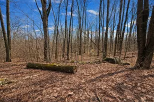 134 Nash Hill Rd, Williamsburg, MA 01096 - Photo 1