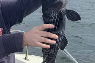 37 Lincoln HWY, Wareham, MA 02571 - Photo 25