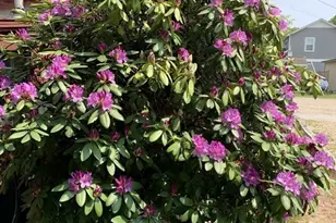 37 Lincoln HWY, Wareham, MA 02571 - Photo 27