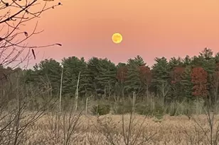 18 Franklin Hunt Rd, Rockland, MA 02370 - Photo 23