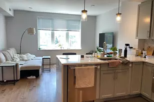 50 Hichborn St, Boston, MA 02135 - Photo 7