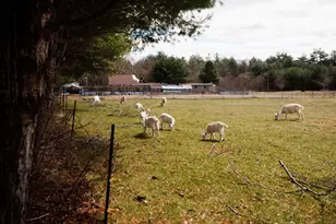 562 Tremont St, Taunton, MA 02780 - Photo 39