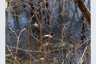 31 Swing Drive, Berkley, MA 02779 - Photo 29