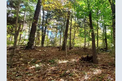 Lot 3 Harknesss Rd, Amherst, MA 01002 - Photo 3