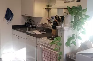 132 Union Pk St, Boston, MA 02118 - Photo 7