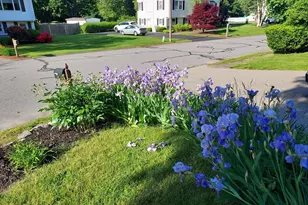 29 Winn Valley Dr, Burlington, MA 01803 - Photo 33