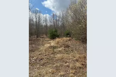 49 Newport, Attleboro, MA 02703 - Photo 3