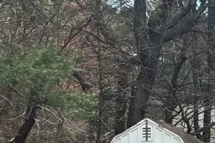 29 Forest St, Franklin, MA 02038 - Photo 23