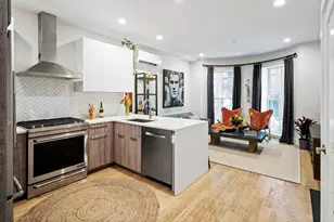 55 E Springfield St, Boston, MA 02118 - Photo 3