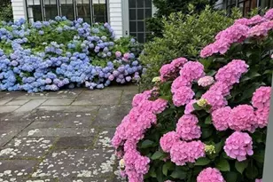 45 Forest Ave, Swampscott, MA 01907 - Photo 39