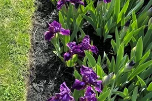 13 Corey Dr, Peabody, MA 01960 - Photo 29