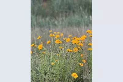 31 Waterview Way, Plymouth, MA 02360 - Photo 27