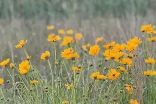 31 WaterView Wy, Plymouth, MA 02360 - Photo 27