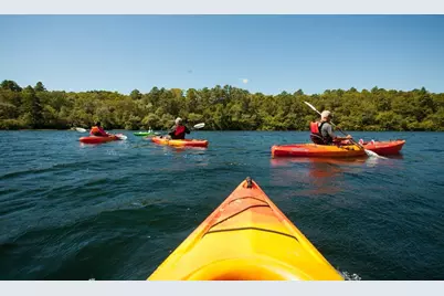 73 Seton Highlands #73, Plymouth, MA 02360 - Photo 41