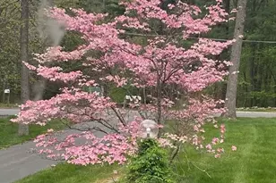 781 Strawberry Hill Rd, Concord, MA 01742 - Photo 37