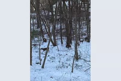 781 Strawberry Hill Rd, Concord, MA 01742 - Photo 39