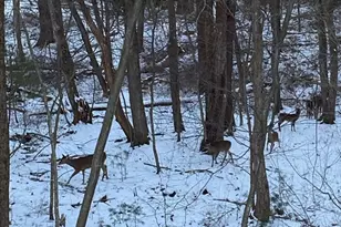 781 Strawberry Hill Rd, Concord, MA 01742 - Photo 39