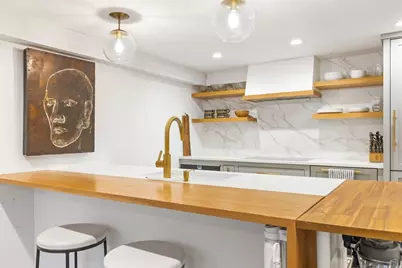 33 Worcester St #1, Boston, MA 02118 - Photo 9