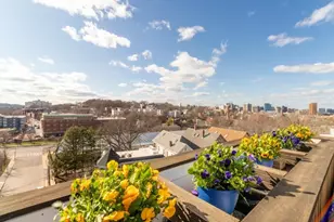 78 Fort Ave, Boston, MA 02119 - Photo 21