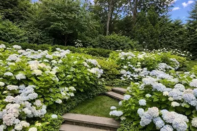 8 Glen Brook Road, Wellesley, MA 02481 - Photo 29