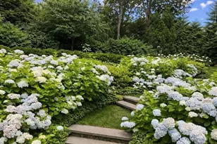 8 Glen Brook Rd, Wellesley, MA 02481 - Photo 29