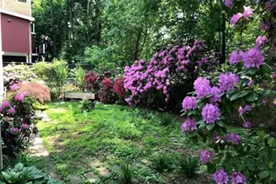 28 Beaconsfield Rd, Brookline, MA 02445 - Photo 19