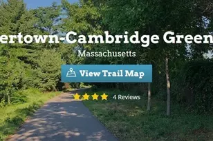 18 School Ln, Watertown, MA 02472 - Photo 29