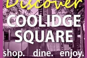 18 School Ln, Watertown, MA 02472 - Photo 27