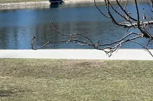 8 White Ave, Brookline, MA 02467 - Photo 35