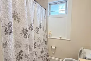 19 Clementine Park, Boston, MA 02124 - Photo 15