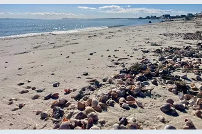 51 Sunset Lane, Dennis, MA 02670 - Photo 19