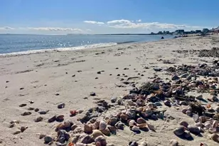 51 Sunset Ln, Dennis, MA 02670 - Photo 19