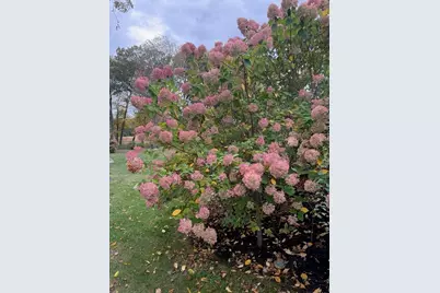 204 Virginia Rd, Concord, MA 01742 - Photo 37