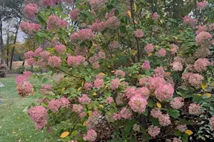 204 Virginia Rd, Concord, MA 01742 - Photo 37