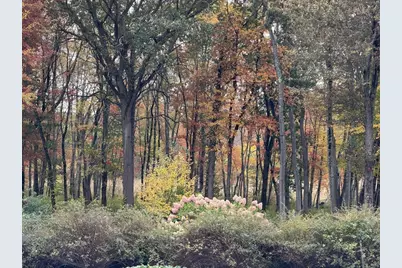 204 Virginia Rd, Concord, MA 01742 - Photo 39