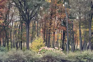 204 Virginia Rd, Concord, MA 01742 - Photo 39