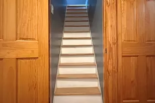 73 Williams Ave, Boston, MA 02136 - Photo 19