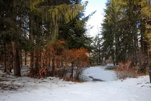 41 Liberty St, Acton, MA 01720 - Photo 21