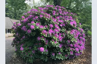 495 Grafton St, Shrewsbury, MA 01545 - Photo 39