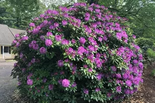 495 Grafton St, Shrewsbury, MA 01545 - Photo 39