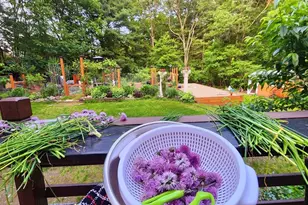 8 Innsbruck Way, Franklin, MA 02038 - Photo 27