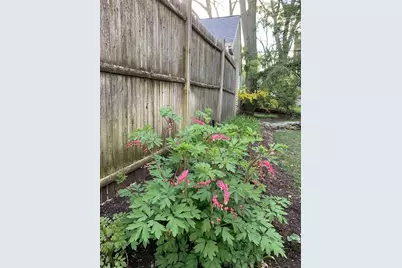 11 Lincoln St, Arlington, MA 02476 - Photo 39